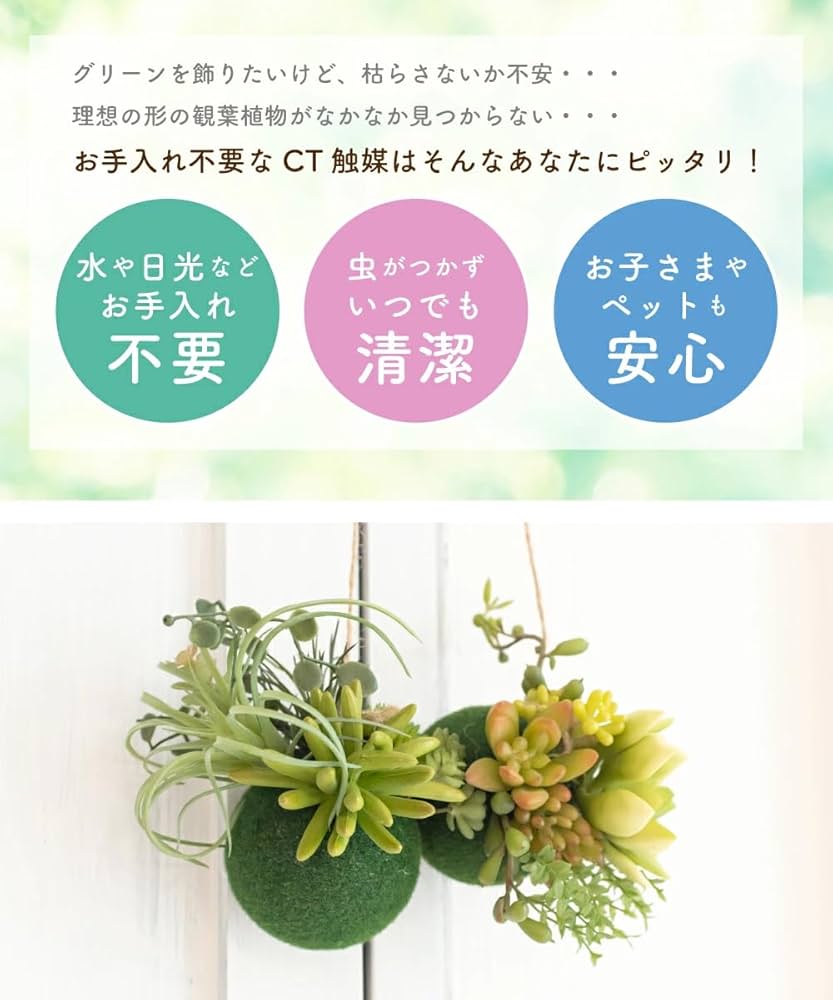 専用＊エアプランツ＆グリーン　 フェイクコ苔玉 1bb475aae8394ee4d372236d27fb8a